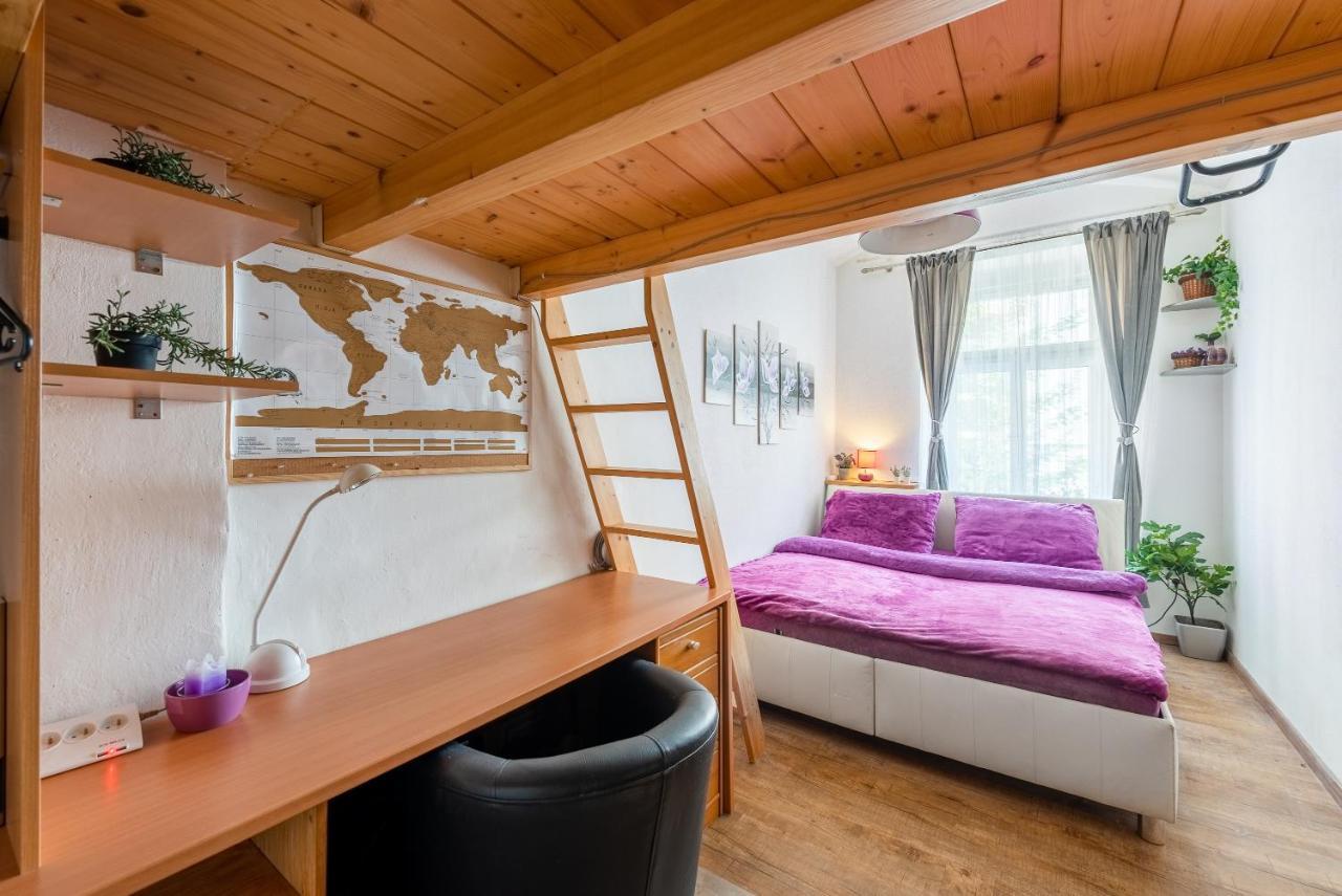 Zizkov Appartement *