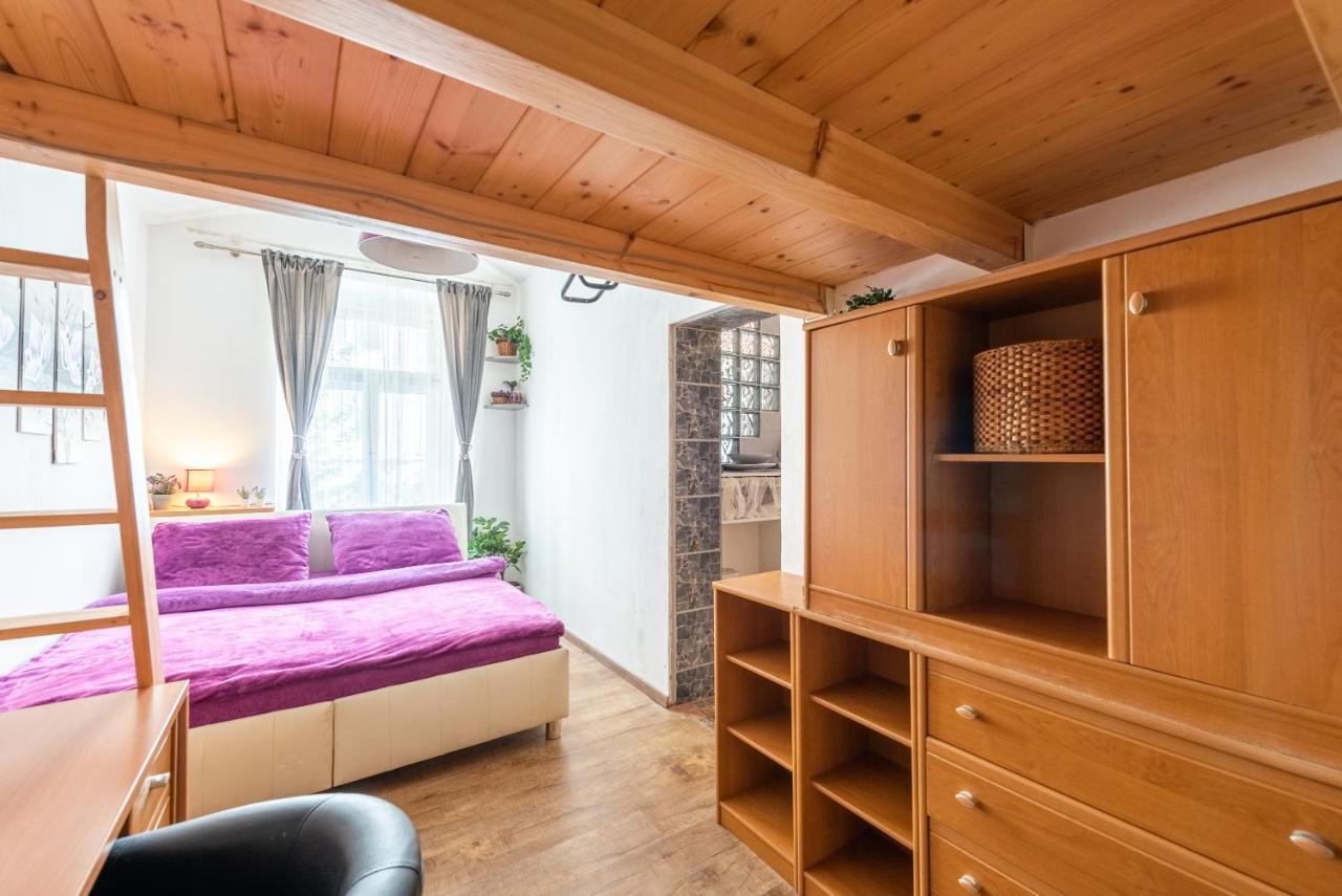Appartement Zizkov *