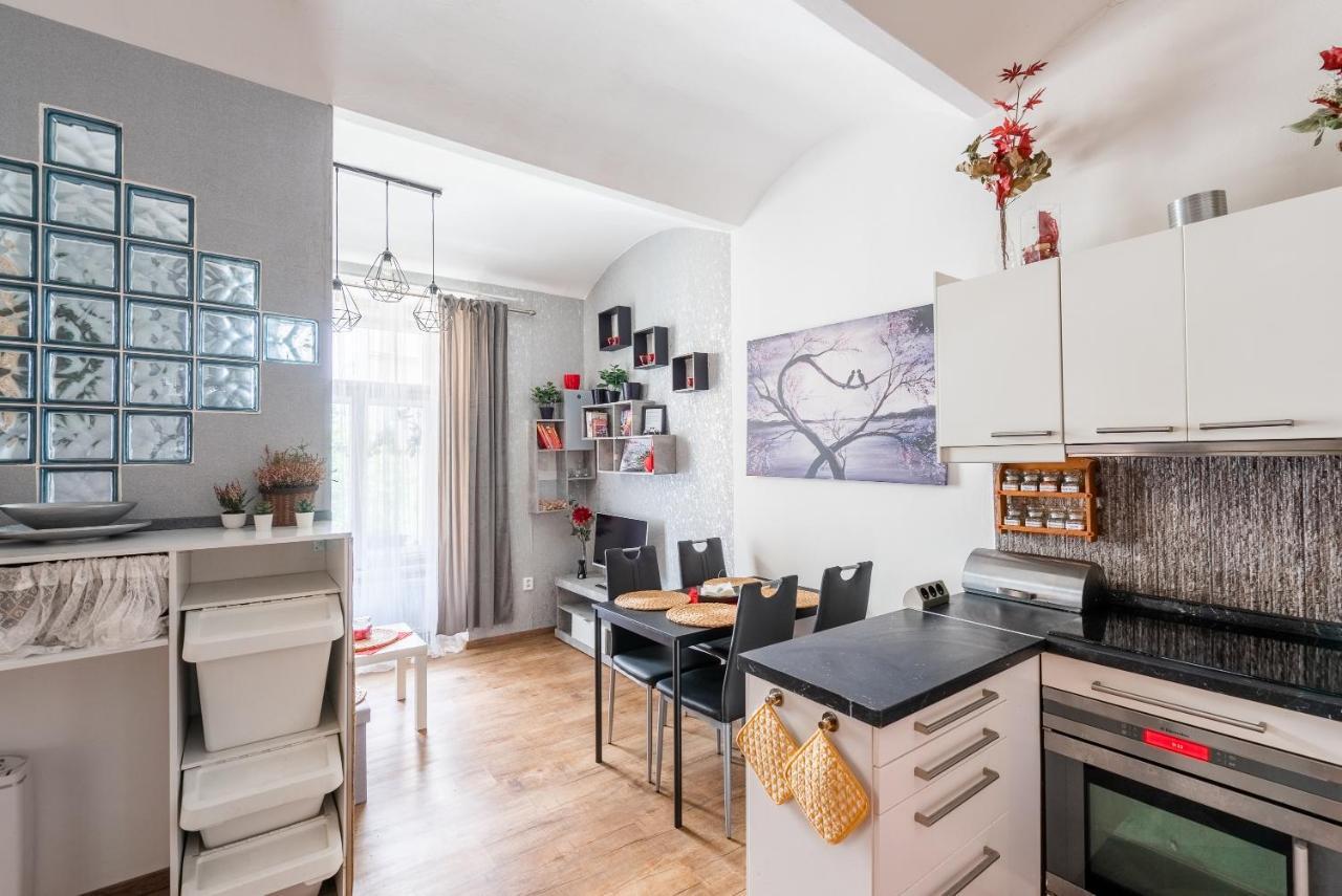 Appartement Zizkov Prague